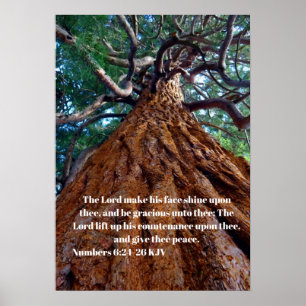 The Lord make his face shine upon, uplifting Poster