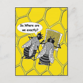 The Lost Bees, Humour Postcard