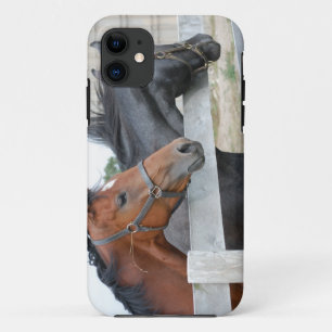 The Love Horses iPhone 11 Case