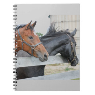 The Love Horses Notebook