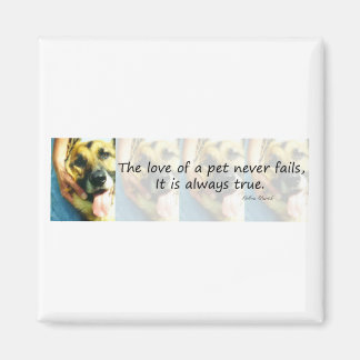 The Love of a Pet Magnet