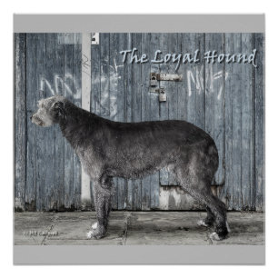 The Loyal Hound Poster