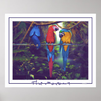 The Macaws - Poster