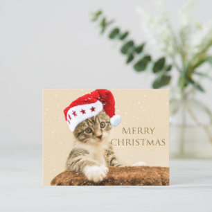 The Magic  Holiday Postcard