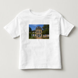The main chateau building, renovated by toddler t-shirt