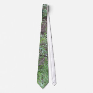 The Majestic Bob White Quail Tie