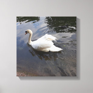 THE MAJESTIC SWAN CANVAS PRINT