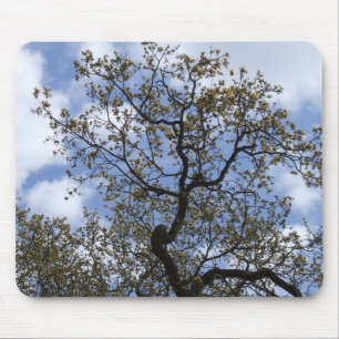 The Major Oak Mouse Pad