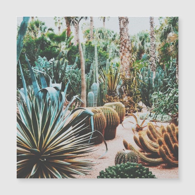 The Majorelle Garden - Marrakech - Morocco  (Front)