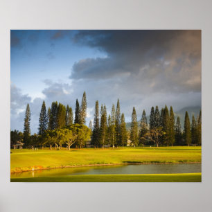 The Makai golf course in Princeville 2 Poster