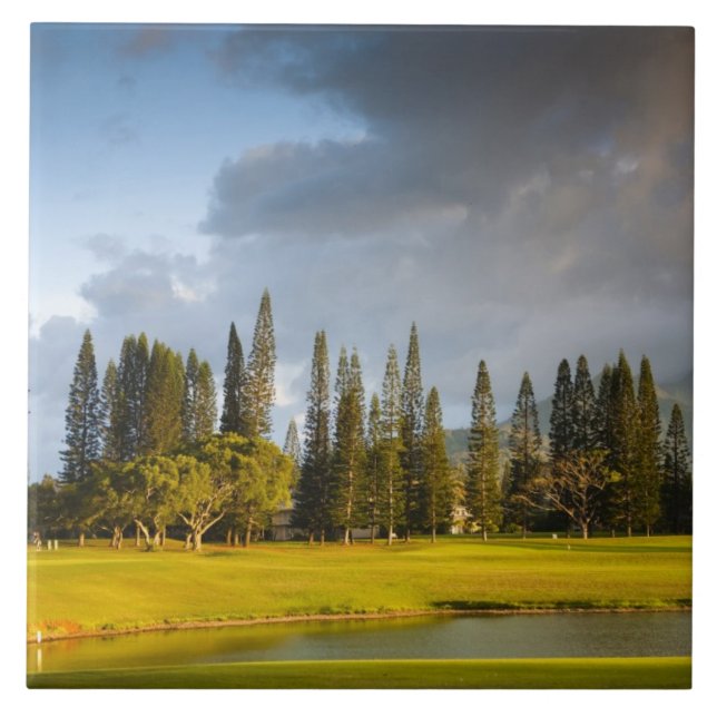 The Makai golf course in Princeville Tile (Front)