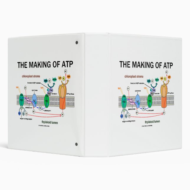 The Making Of ATP Photosynthetic Attitude Binder (Background)