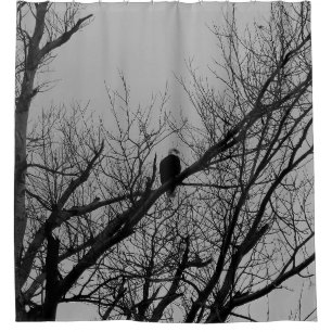 The Male Taking Watch