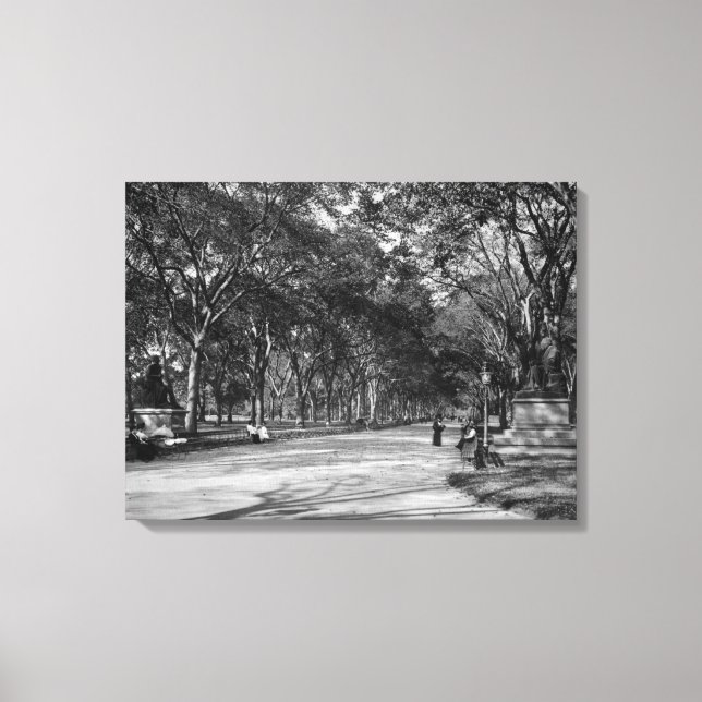 The Mall in Central Park in New York City Canvas Print (Front)