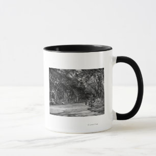 The Mall in Central Park in New York City Mug