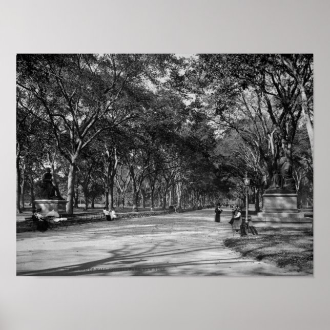 The Mall in Central Park in New York City Poster (Front)