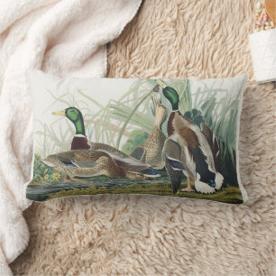 The Mallard Duck Audubon Bird Painting Lumbar Pillow