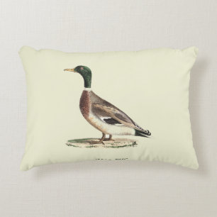 The Mallard or Wild Duck (Anas platyrhynchos) Accent Pillow