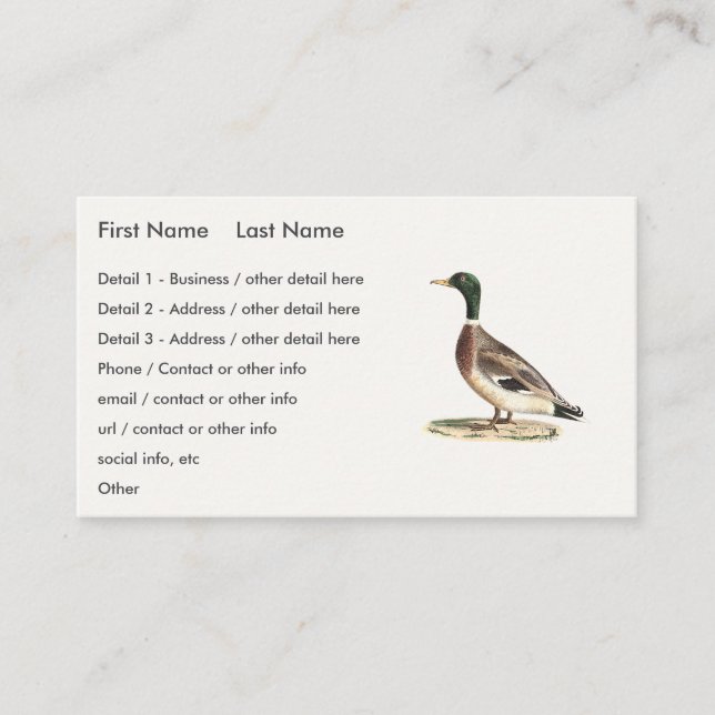 The Mallard or Wild Duck (Anas platyrhynchos) Business Card (Front)