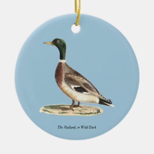 The Mallard or Wild Duck (Anas platyrhynchos) Ceramic Ornament