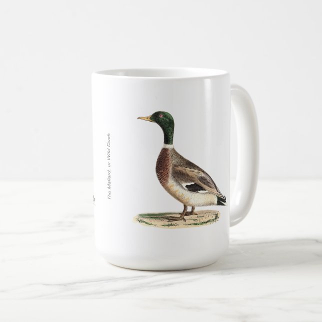 The Mallard or Wild Duck (Anas platyrhynchos) Coffee Mug (Front Right)