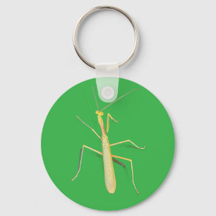 The Mantis, Keychain