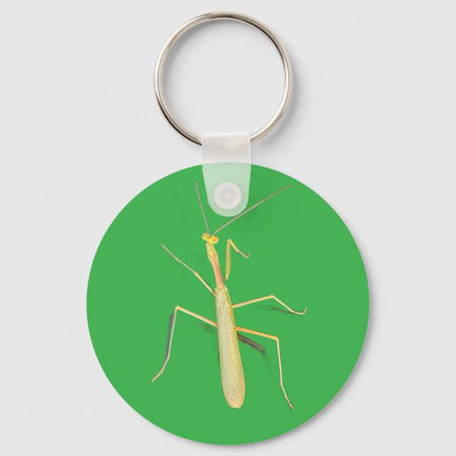The Mantis,  Keychain (Front)