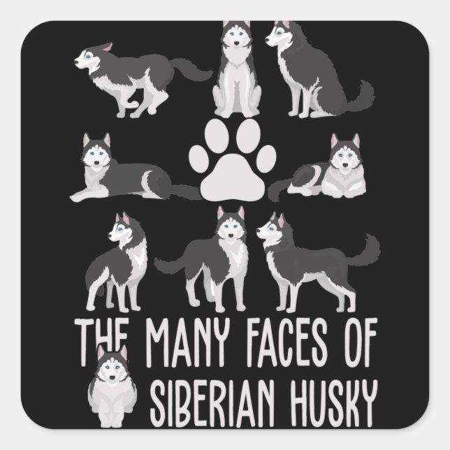 The Many Faces of the Siberian Husky For Dog Lover Square Sticker (Front)