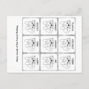 The many moods of a French Bulldog Postcard