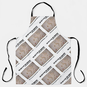 The Map Is Not The Territory Salviati Planisphere Apron