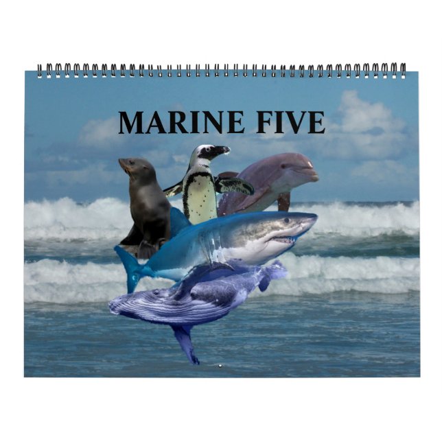 The Marine Five Calendar (Cover)