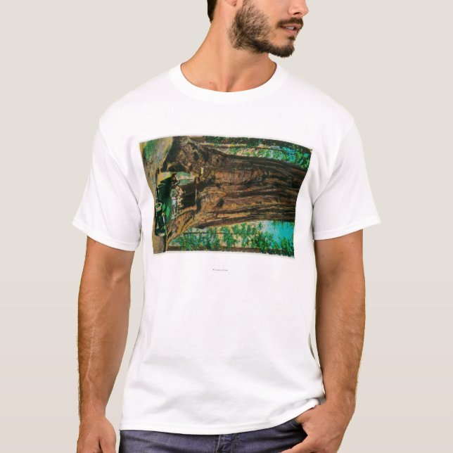 The Mariposa Big Tree Grove, Yosemite T-Shirt (Front)