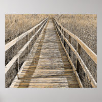 The Marshes
