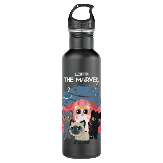 The Marvels Flerkittens Illustration 710 Ml Water Bottle (Front)