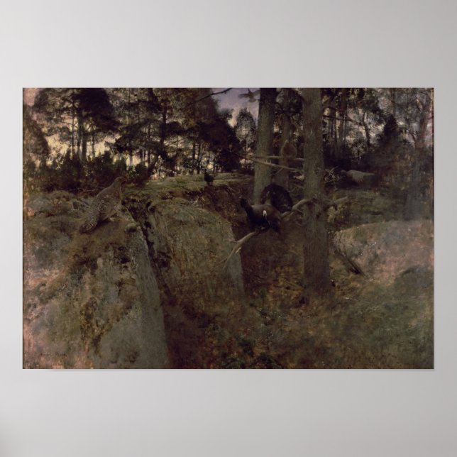 The Mating of the Capercaillies, 1888 Poster (Front)