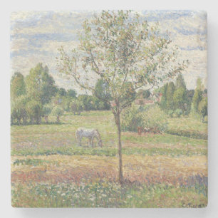 The Meadow with Grey Horse, Eragny, Oil Painting Stone Coaster