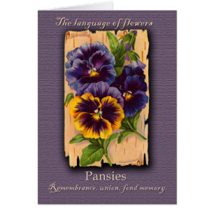 The Meaning of the Pansy
