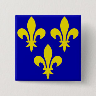 The Medieval Flag of France 2 Inch Square Button