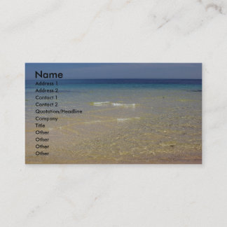 The Mediterranean #1 Business Card