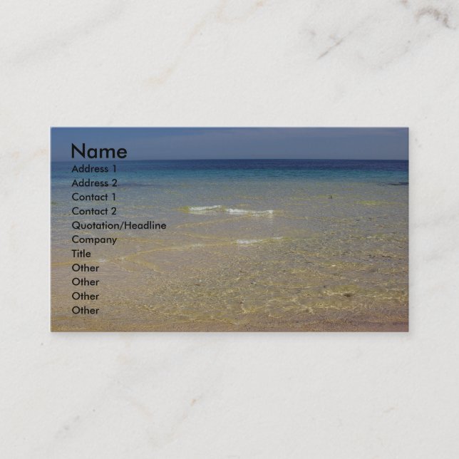 The Mediterranean #1 Business Card (Front)