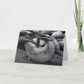 The Mermaid Seal Card