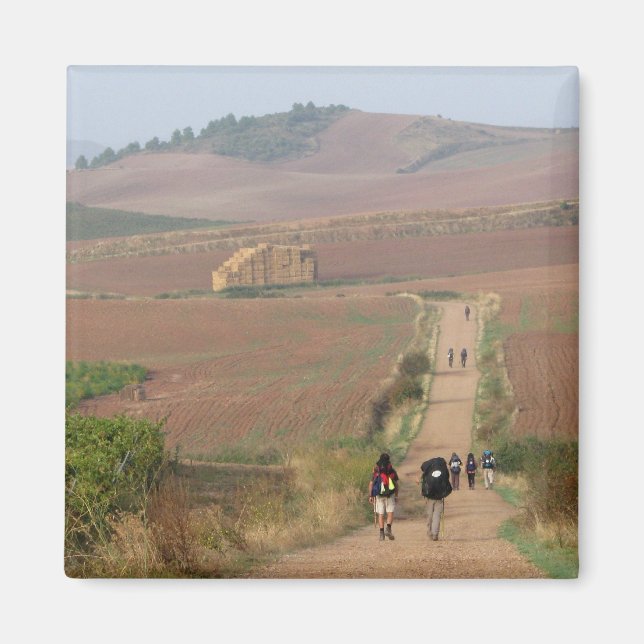 The Meseta Magnet (Front)