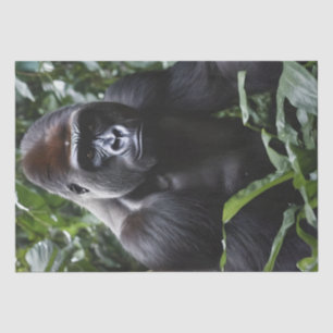 The Midnight Gorilla King: Monarch of the Forest Tissue Paper