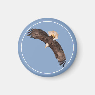 The Mighty Eagle Magnet
