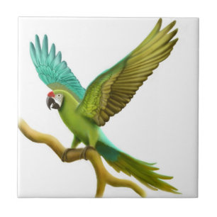 The Military Macaw Parrot Tile