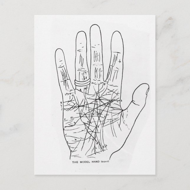 The Model Hand Postcard (Front)