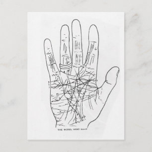 The Model Hand Postcard