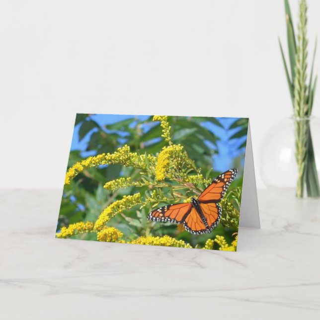 The Monarchs - Blank Greeting Card (Front)