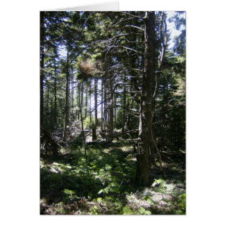 The Monhegan Fairy Card