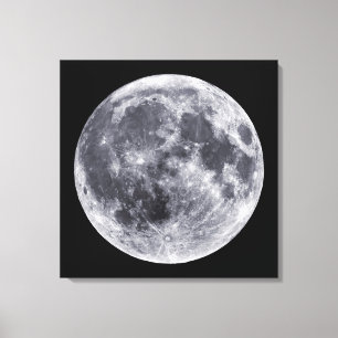 The Moon Canvas Print